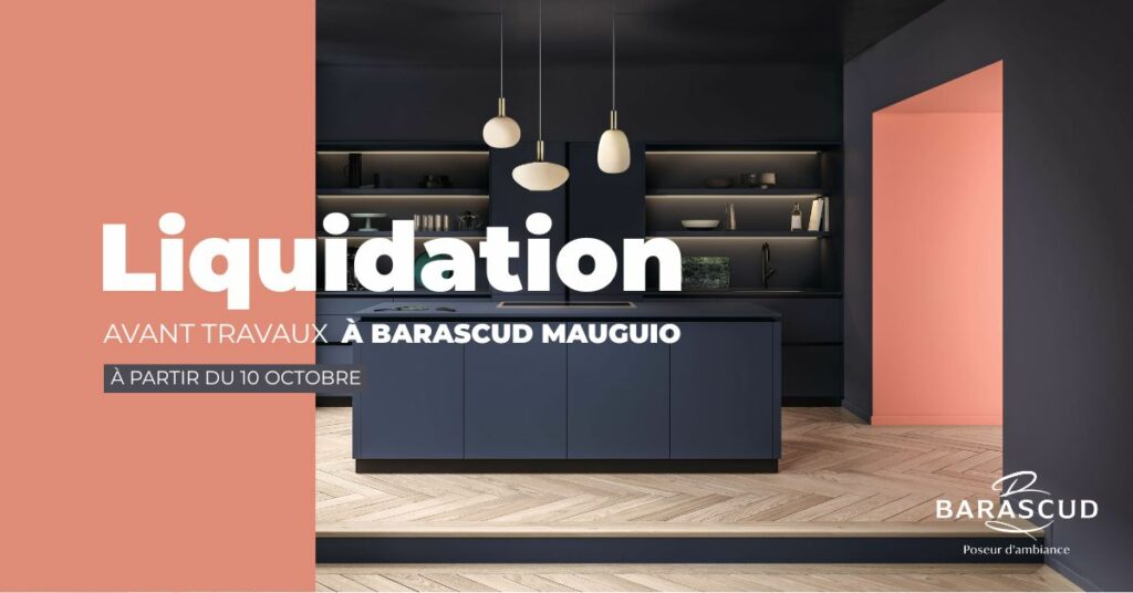 Liquidation avant travaux à Barascud Mauguio