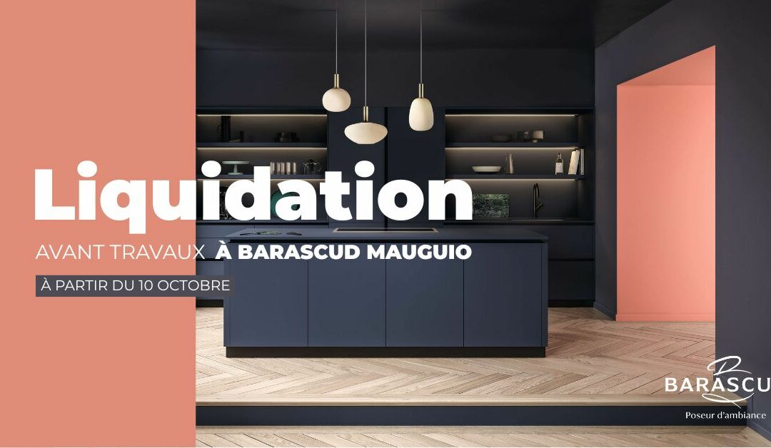 Liquidation avant travaux à Barascud Mauguio